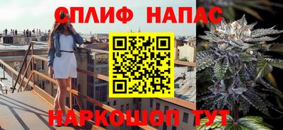 шишки Конаково