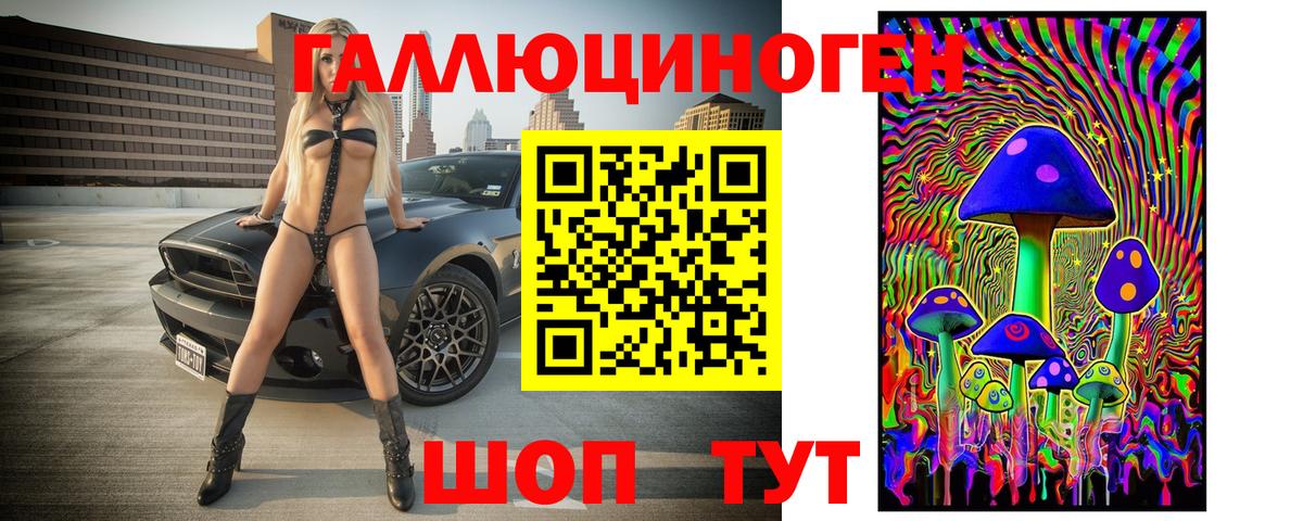 Камышлов  Псилоцибиновые грибы Psilocybine cubensis  Вход с VPN 